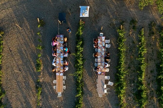 Chianti Vineyards: Small-Group Tour With Wine Tasting & Dinner - Tuscan Culinary Delights