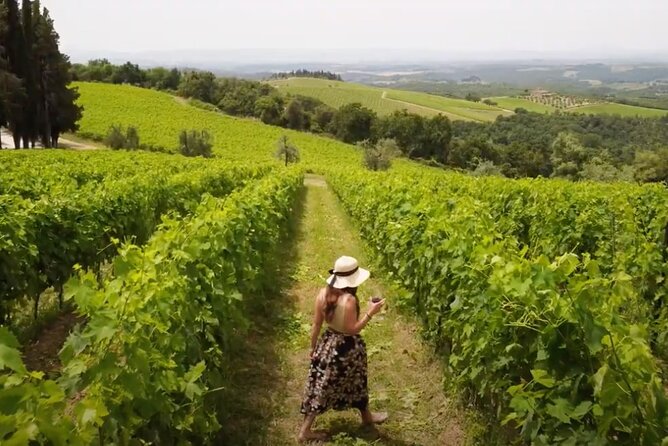 Chianti Vineyards: Small-Group Tour With Wine Tasting & Dinner - Transportation and Meeting Point