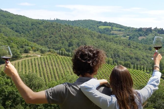 Chianti Vineyards: Small-Group Tour With Wine Tasting & Dinner - Accessibility and Cancellation Policy