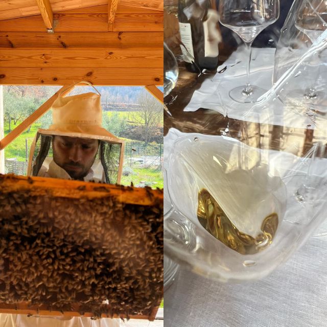 Chianti: Wine and Honey Tasting Half-Day Experience - Transportation and Scenic Routes