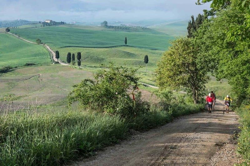 Chianti Wine Tour included meal & tasting at Winery (6hrs) - Exploring the Chianti Wine Region: A Practical Review of the 6-Hour Tour