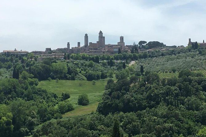 Chianti Wines and San Gimignano Tour from Florence (1 Winery) - Practical Considerations