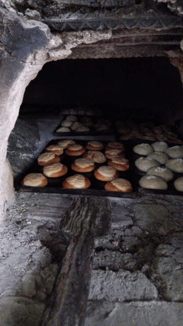 Chiapas: Immersive Zoque Culinary Experience - Key Points