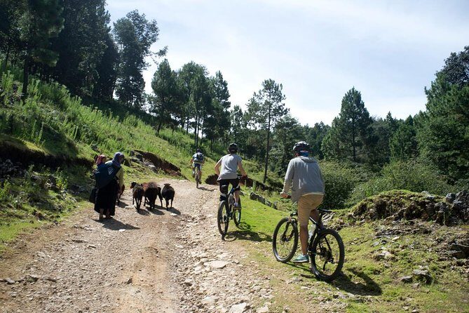 Chiapas Indigenous Villages and Mountain Bike Tour - A Deep Dive Into the Experience