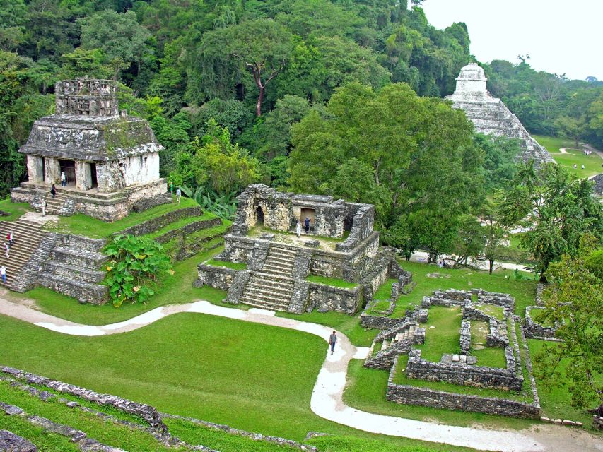 Chiapas: Palenque Archaeological Site Skip-the-Line Ticket - Mayan History, Architecture, and Rituals