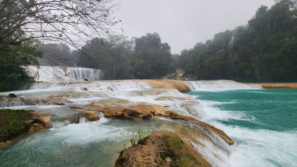 Chiapas: Private 8-Day Immersive Cultural Tour With Day Trip - Free Day in San Cristobal