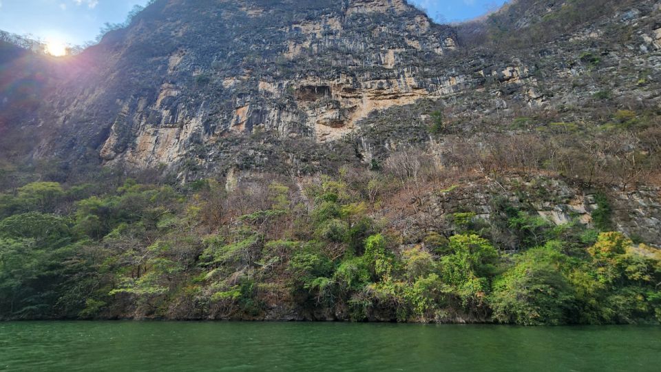 Chiapas: Private 8-Day Immersive Cultural Tour With Day Trip - Palenque Free Day