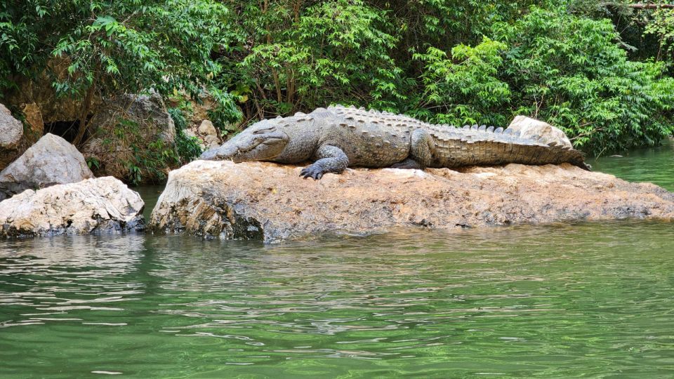 Chiapas: Private 8-Day Immersive Cultural Tour With Day Trip - Frequently Asked Questions