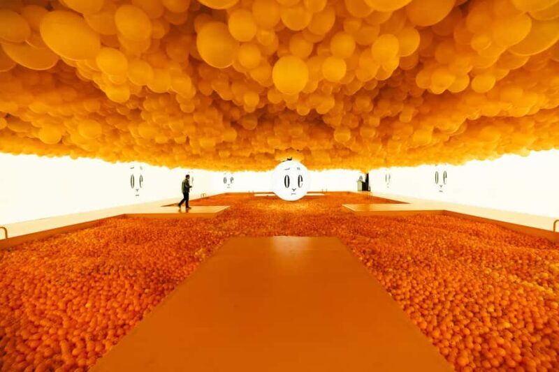 Chicago: Balloon Museum - EmotionAir - Entry Tickets - An Introduction to this Unique Art Experience