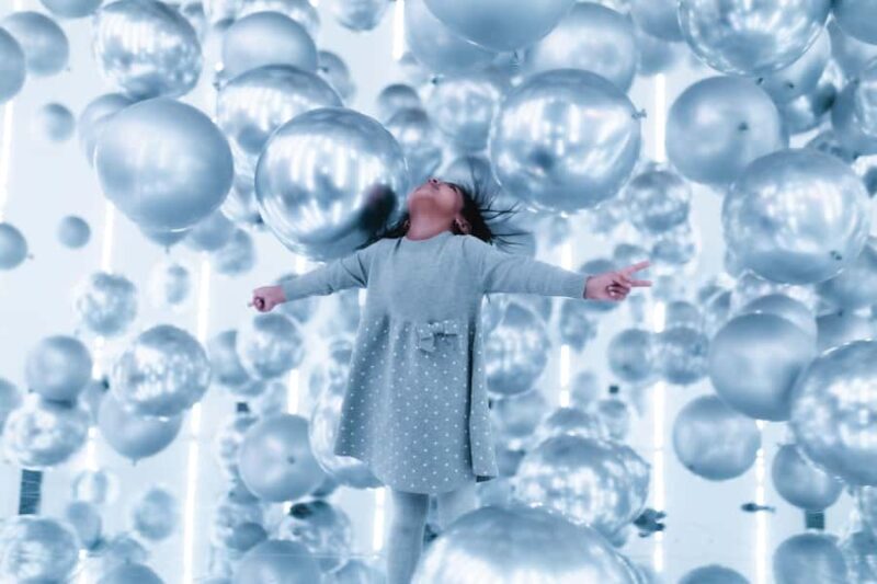 Chicago: Balloon Museum - EmotionAir - Entry Tickets - Key Points