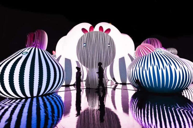 Chicago: Balloon Museum - EmotionAir - Entry Tickets - Who Would Enjoy This?