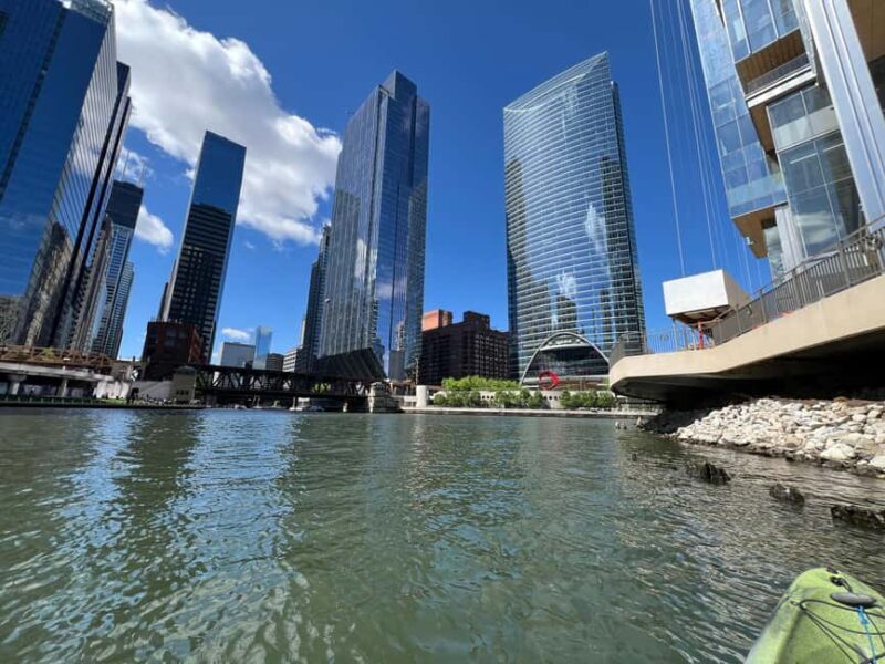 Chicago: Characters and Cons Guided Kayak Tour - Who Will Love This Tour?