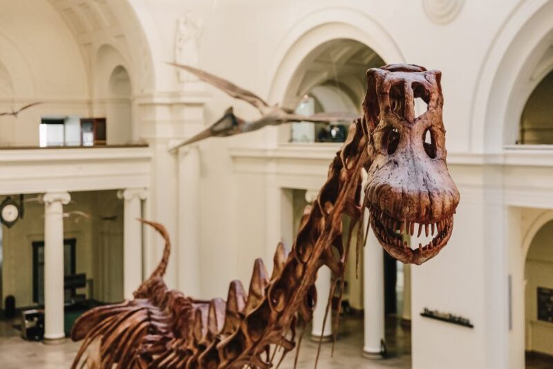 Chicago CityPASS®: Save up to 49% at 5 Top Attractions - Final Thoughts