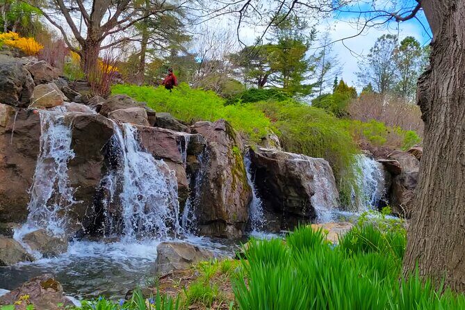 Chicago City's Iconic Sights and Suburb Gems Tour - The Sum Up: Is It Worth It?