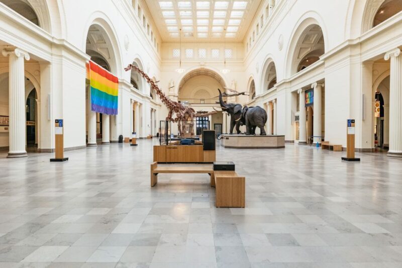 Chicago: Field Museum of Natural History Ticket or VIP Tour - Key Points