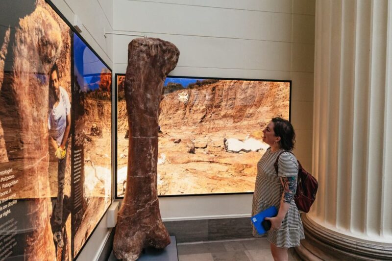 Chicago: Field Museum of Natural History Ticket or VIP Tour - What Makes This Experience Stand Out?