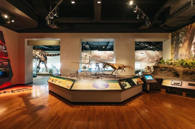 Chicago: Field Museum of Natural History Ticket or VIP Tour - Practical Tips for Your Visit