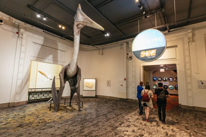 Chicago: Field Museum of Natural History Ticket or VIP Tour - Final Thoughts: Who Should Visit?