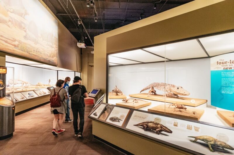 Chicago: Field Museum of Natural History Ticket or VIP Tour - FAQ