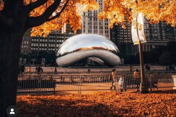 Chicago In A Day With A Local - Convenient Private Transportation