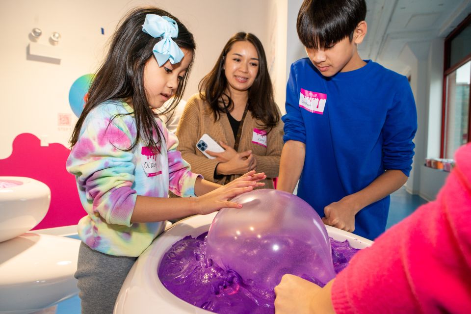 Chicago: Sloomoo Institute Admission Ticket - Experience Highlights