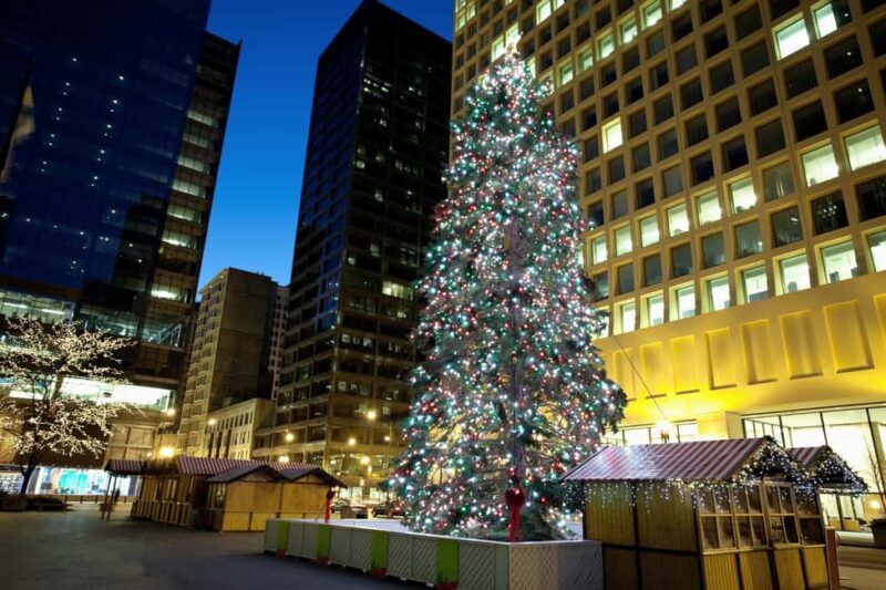 Chicagos Festive Lights: Private Magical Christmas Journey - What Makes This Tour Special