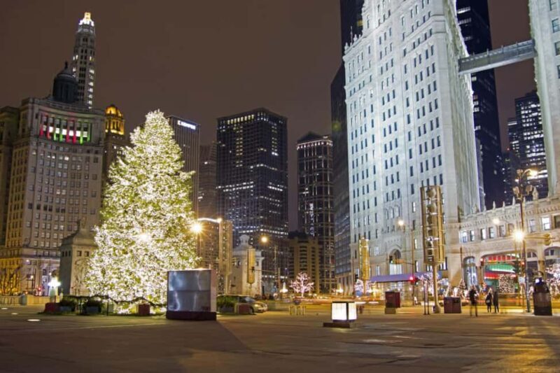 Chicagos Festive Lights: Private Magical Christmas Journey - Why You Might Love This Experience