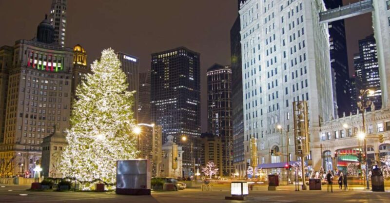 Chicagos Festive Lights: Private Magical Christmas Journey - Why You Might Consider Other Options
