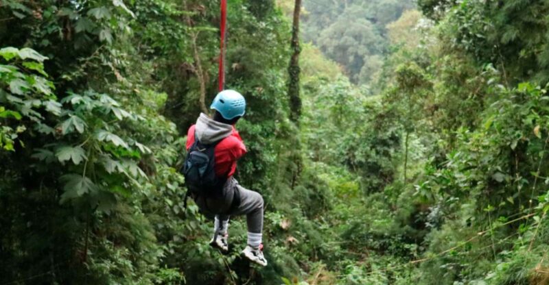 Chicaque Foggy Forest Hike - Important Participant Information