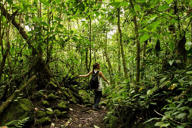 Chicaque National Park - Good To Know