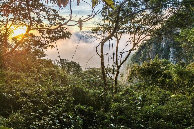 Chicaque National Park - Diverse Wildlife and Birdlife