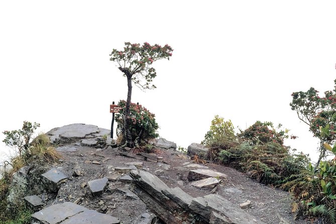 Chicaque National Park - Traveler Ratings and Feedback