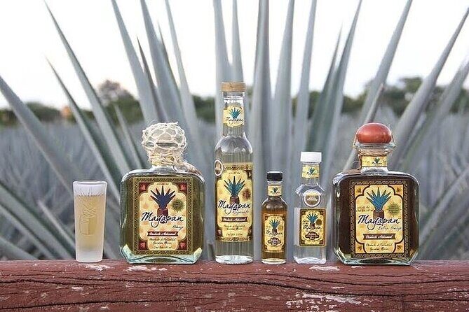 Chichen Itza, Cenote, Tequila and Valladolid Tour from Cancun - Frequently Asked Questions