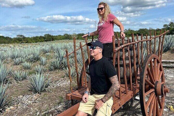 Chichen Itza, Cenote, Tequila and Valladolid Tour from Tulum - Key Points