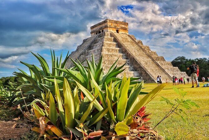 Chichen Itza Family Tour with Cenote and Lunch , private bus - Key Points