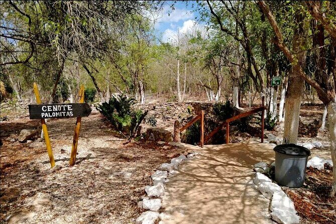 Chichen Itza Ruins and 3 Cenotes Private Transportation - Who Will Benefit Most?