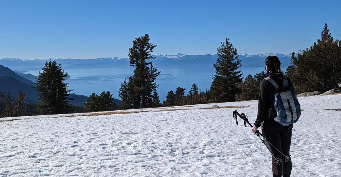 Chickadee Ridge Beginner Snowshoeing Hike - Snowshoe Equipment Provided
