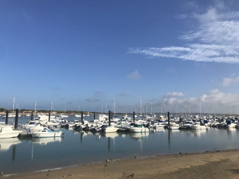 Chiclana de la Fra: Coast of Sancti Petri Catamaran Tour - Key Points