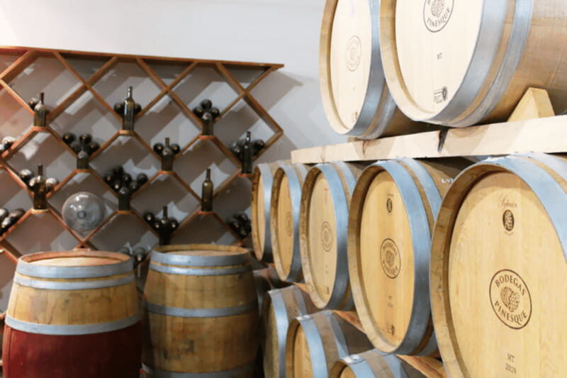 Chihuahua: Insignia Winery Wine Tasting Experience - Key Points