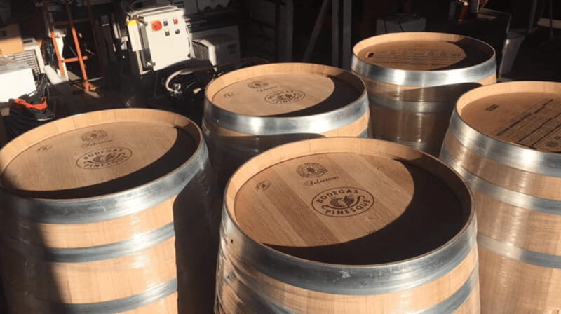 Chihuahua: Insignia Winery Wine Tasting Experience - A Closer Look at the Insignia Winery Tasting Experience