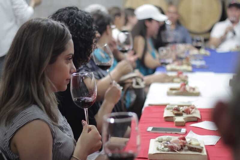 Chihuahua: Winery Tasting Experience - Final Thoughts