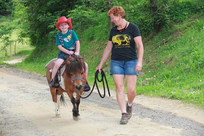 Children Mini Horse Rides - A Closer Look at the Children Mini Horse Rides Experience