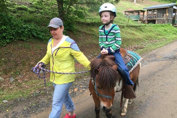 Children Mini Horse Rides - What to Expect on the Trail and During the Activity