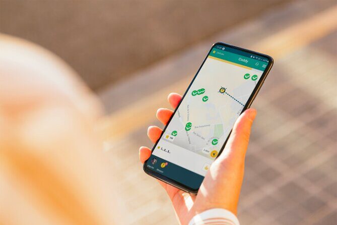 Children's escape game in the city of Namur Marsupilami - What To Expect: Practical Details