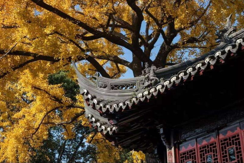 China Hollywood and Yiwu-the offline Temu commercial heaven - Authenticity and Value: What We Think