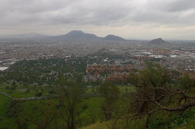 Chinampas Eco Immersion Mexico City - Why This Tour Is Worth It