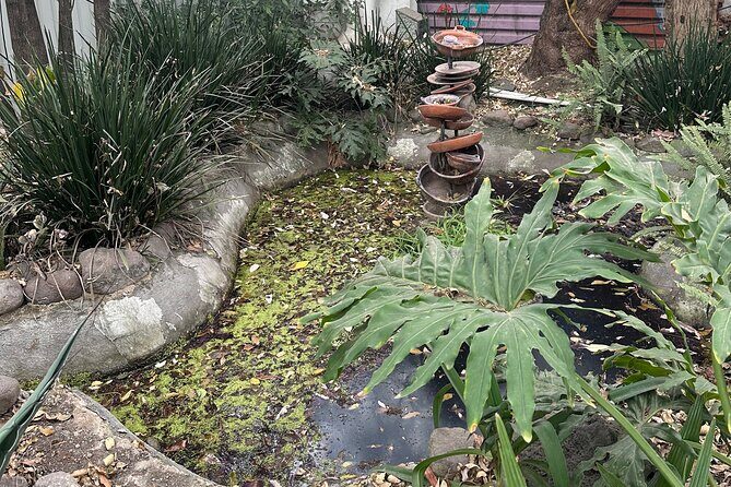 Chinampas Eco Immersion Mexico City - Final Word