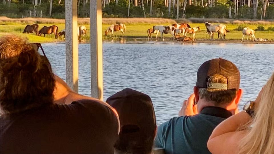 Chincoteague: Assateague Island Sunset Boat Cruise - Explore Pristine Coastal Assateague