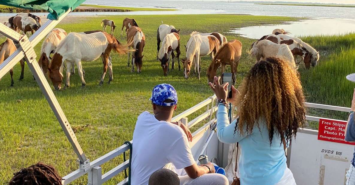 Chincoteague: Assateague Island Sunset Boat Cruise - Meeting Point and Parking