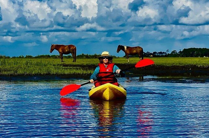 Chincoteague Canoe Rental around Assateague Island - An In-Depth Look at the Experience